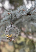 Sprocket Holiday Ornament - LINKS by Annette